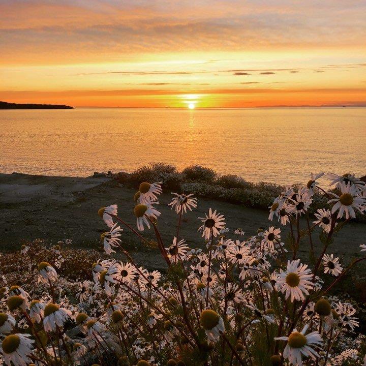 Aftensol Qasigiannguit